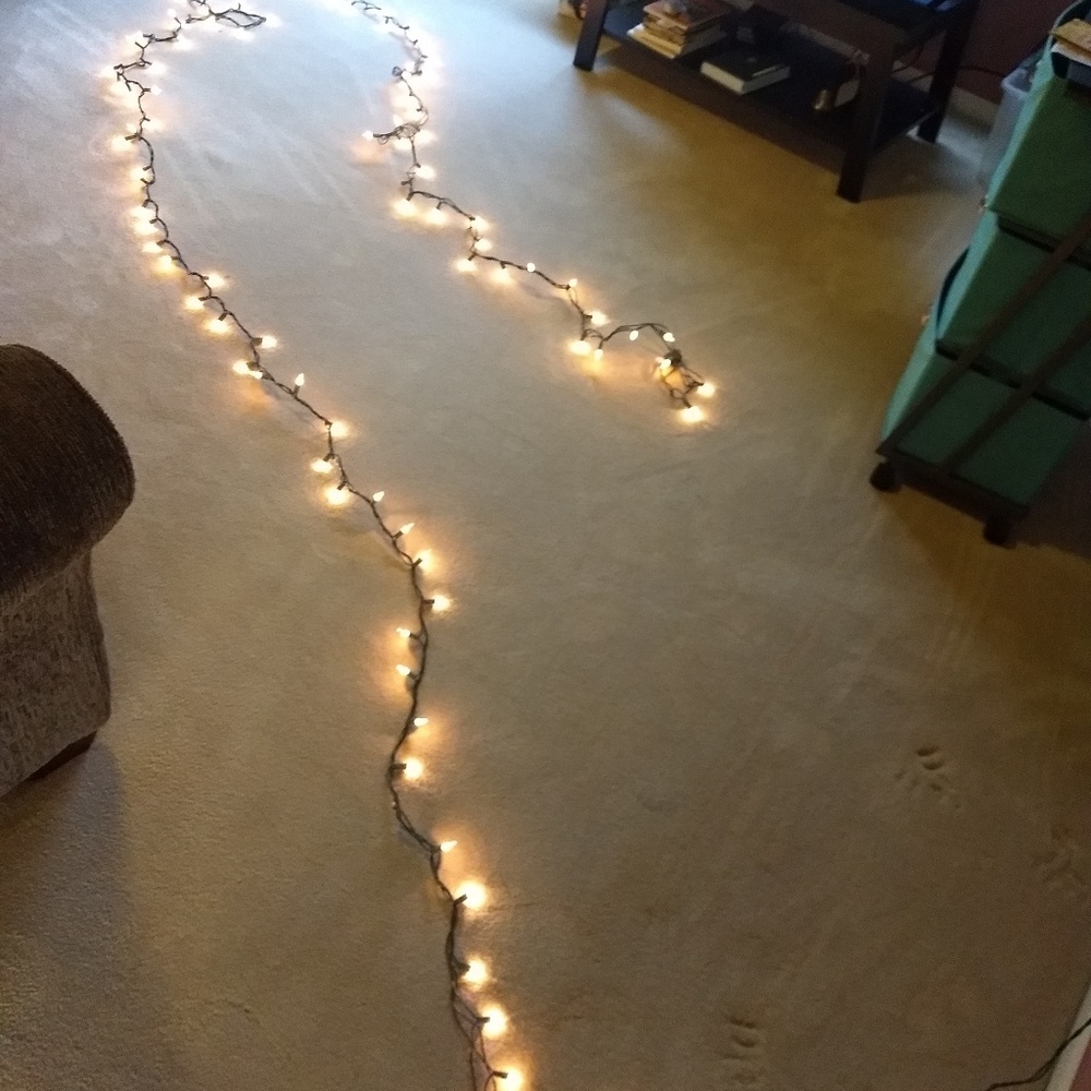 White Christmas Light String